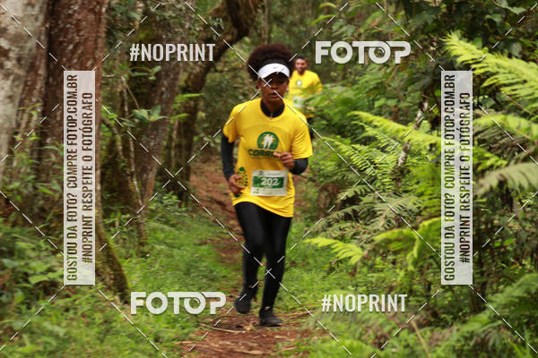 Compre suas fotos do eventoCORRIDA PARQUE ESTADUAL CAMPOS DO JORDO no Fotop