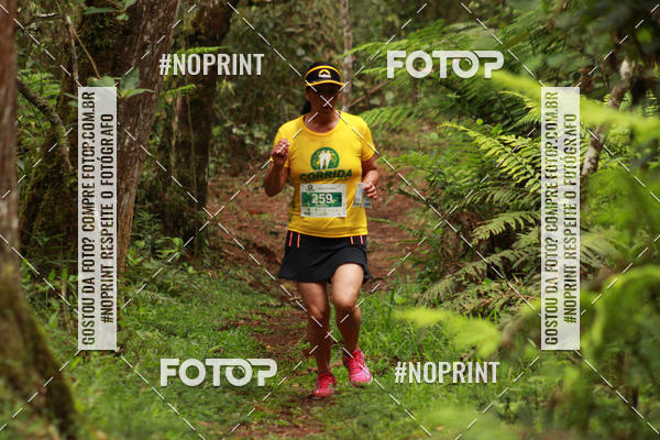 Acquista le foto dell'eventoCORRIDA PARQUE ESTADUAL CAMPOS DO JORDO in Fotop
