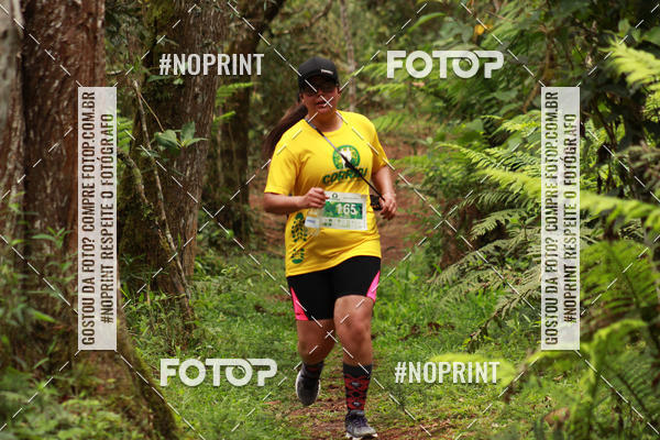 Buy your photos of the eventCORRIDA PARQUE ESTADUAL CAMPOS DO JORDO on Fotop