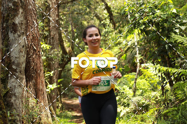 Compre as suas fotos do eventoCORRIDA PARQUE ESTADUAL CAMPOS DO JORDO no Fotop