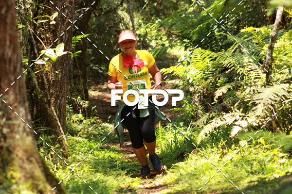 Compre as suas fotos do eventoCORRIDA PARQUE ESTADUAL CAMPOS DO JORDO no Fotop