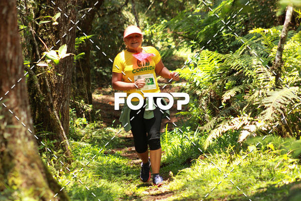 Compra tus fotos del eventoCORRIDA PARQUE ESTADUAL CAMPOS DO JORDO En Fotop