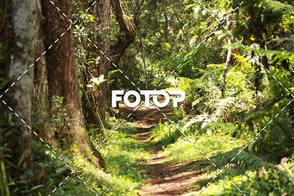 Compra tus fotos del eventoCORRIDA PARQUE ESTADUAL CAMPOS DO JORDO En Fotop