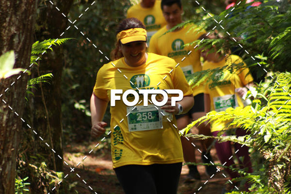 Compra tus fotos del eventoCORRIDA PARQUE ESTADUAL CAMPOS DO JORDO En Fotop