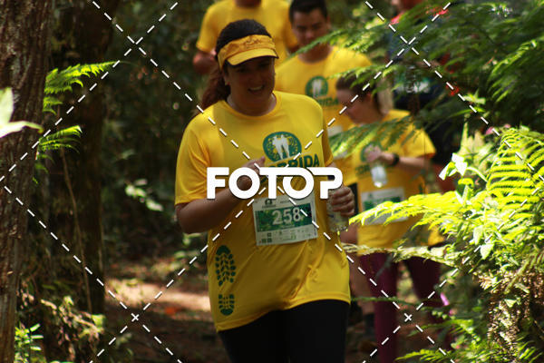 Compra tus fotos del eventoCORRIDA PARQUE ESTADUAL CAMPOS DO JORDO En Fotop