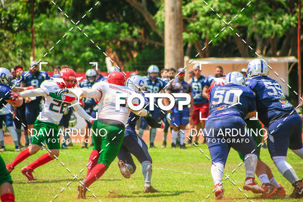Buy your photos of the eventLiga BFA - Ribeiro Preto Challengers vs Portuguesa FA on Fotop