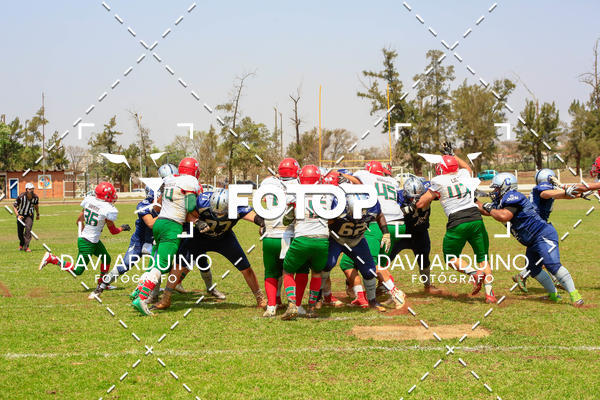 Buy your photos of the eventLiga BFA - Ribeiro Preto Challengers vs Portuguesa FA on Fotop