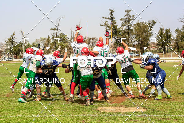 Buy your photos of the eventLiga BFA - Ribeiro Preto Challengers vs Portuguesa FA on Fotop