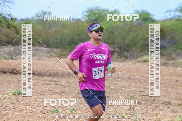 Compra tus fotos del eventoCorrida do Vinho En Fotop