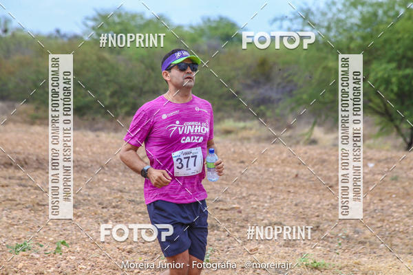 Achetez vos photos de l'vnementCorrida do Vinho sur Fotop