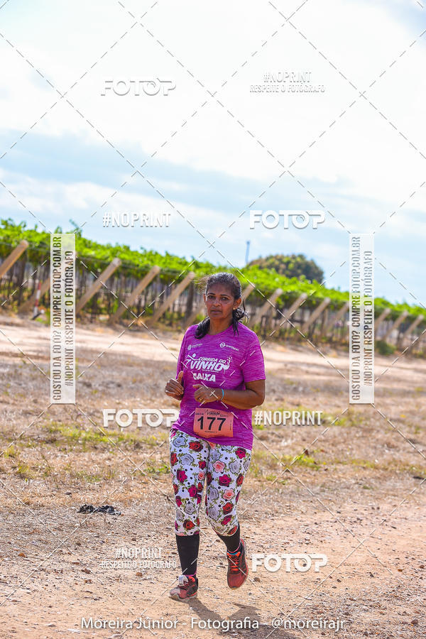 Compre as suas fotos do eventoCorrida do Vinho no Fotop