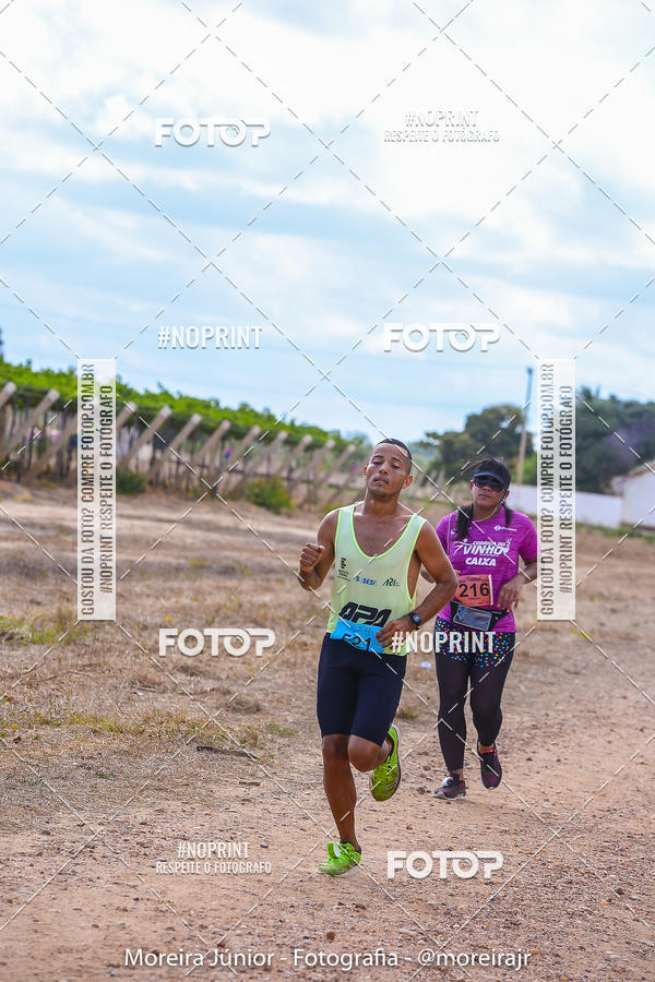 Achetez vos photos de l'vnementCorrida do Vinho sur Fotop