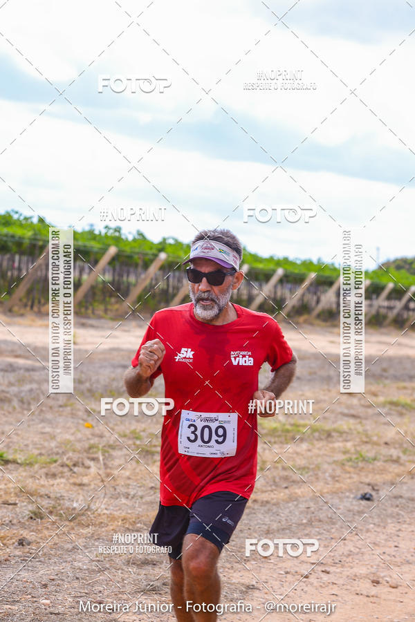 Achetez vos photos de l'vnementCorrida do Vinho sur Fotop