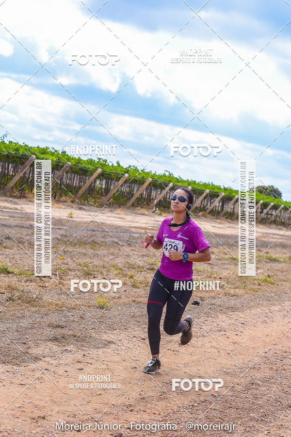 Compre as suas fotos do eventoCorrida do Vinho no Fotop