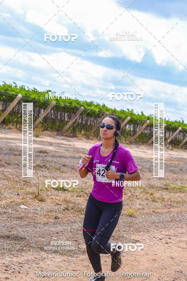 Compre as suas fotos do eventoCorrida do Vinho no Fotop