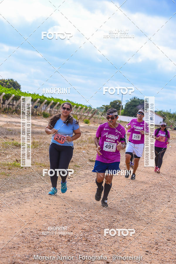 Compre as suas fotos do eventoCorrida do Vinho no Fotop