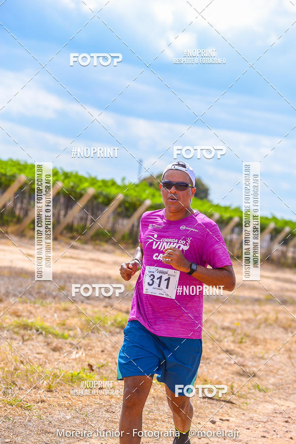 Acquista le foto dell'eventoCorrida do Vinho in Fotop