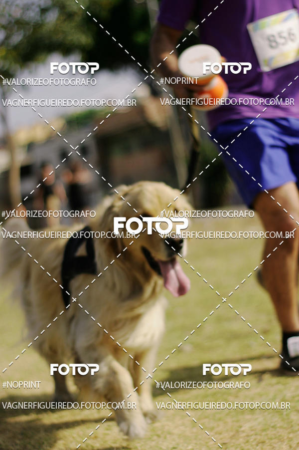 Compre as suas fotos do eventoCircuito Sesc de Corrida no Fotop