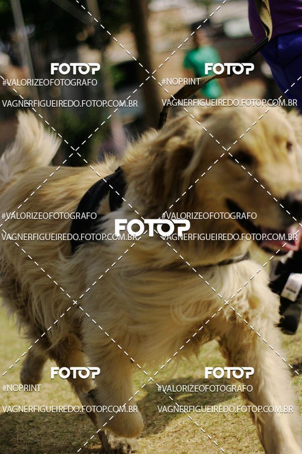 Achetez vos photos de l'�v�nementCircuito Sesc de Corrida sur Fotop