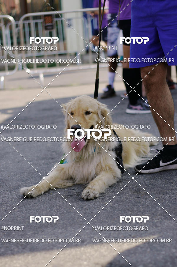 Compre suas fotos do eventoCircuito Sesc de Corrida no Fotop
