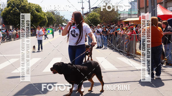 Buy your photos of the eventDESFILE C�VICO 7 SETEMBRO 2019 - PINDAMONHANGABA on Fotop