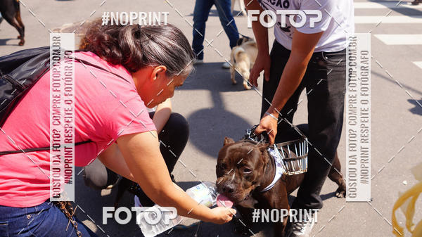 Buy your photos of the eventDESFILE C�VICO 7 SETEMBRO 2019 - PINDAMONHANGABA on Fotop