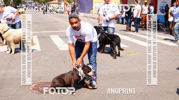 Buy your photos of the eventDESFILE C�VICO 7 SETEMBRO 2019 - PINDAMONHANGABA on Fotop