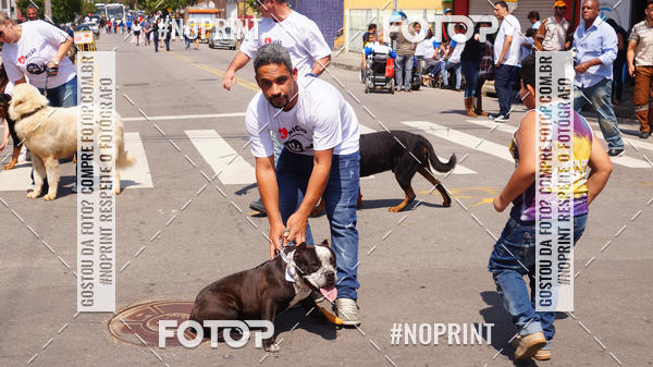 Buy your photos of the eventDESFILE C�VICO 7 SETEMBRO 2019 - PINDAMONHANGABA on Fotop