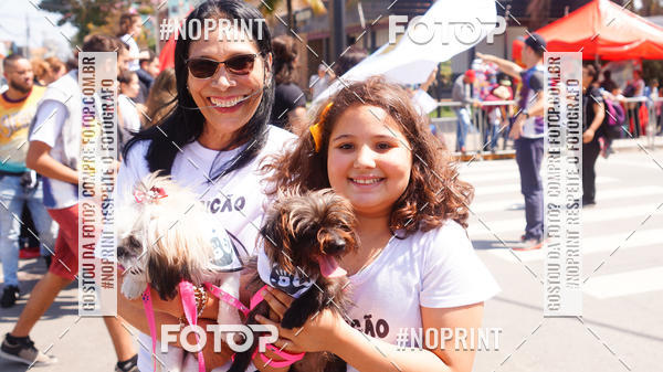 Buy your photos of the eventDESFILE C�VICO 7 SETEMBRO 2019 - PINDAMONHANGABA on Fotop