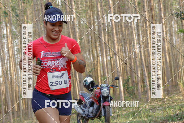 Buy your photos of the event1� Corrida Estrad�o de S�o Jos� das Palmeiras on Fotop