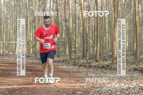 Buy your photos of the event1� Corrida Estrad�o de S�o Jos� das Palmeiras on Fotop