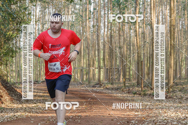 Buy your photos of the event1� Corrida Estrad�o de S�o Jos� das Palmeiras on Fotop