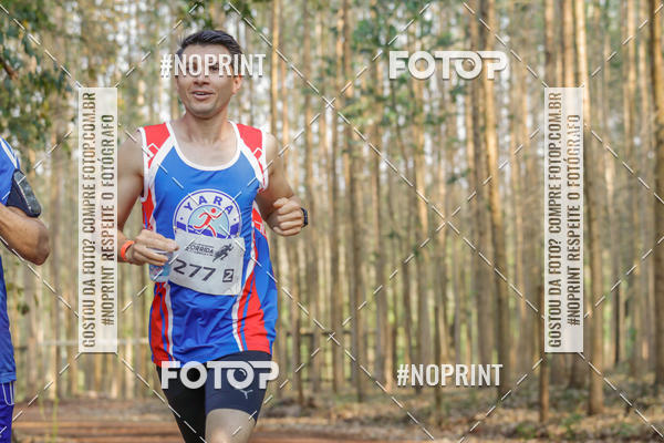 Buy your photos of the event1� Corrida Estrad�o de S�o Jos� das Palmeiras on Fotop