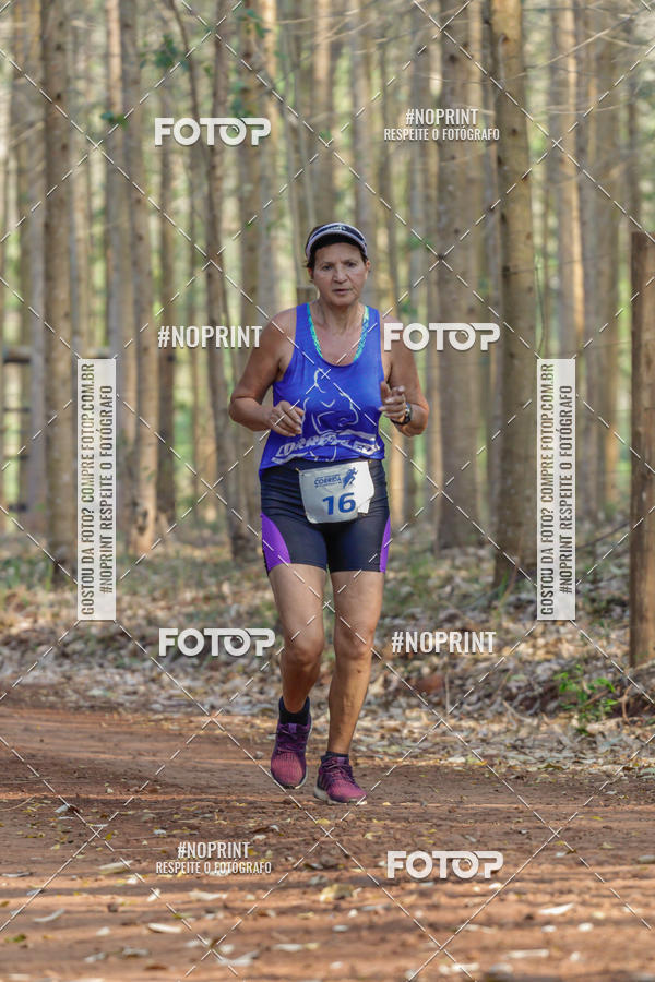 Buy your photos of the event1� Corrida Estrad�o de S�o Jos� das Palmeiras on Fotop