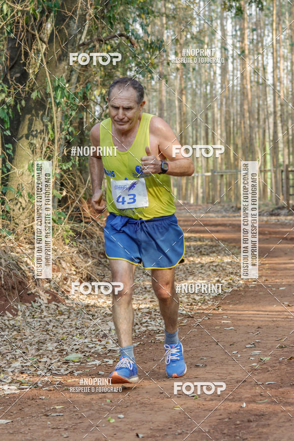 Buy your photos of the event1� Corrida Estrad�o de S�o Jos� das Palmeiras on Fotop