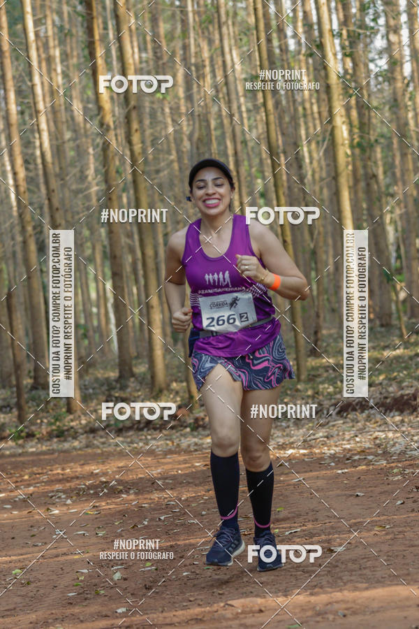 Buy your photos of the event1� Corrida Estrad�o de S�o Jos� das Palmeiras on Fotop