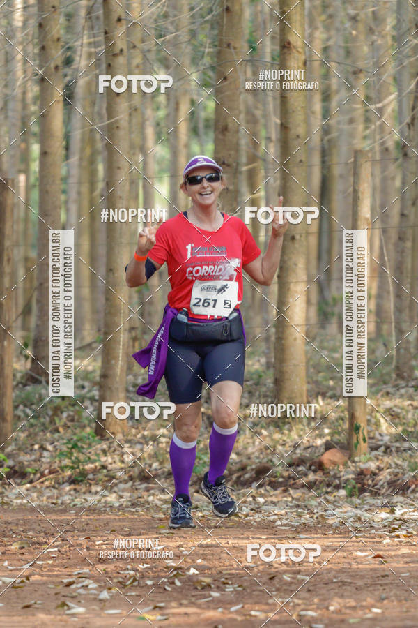 Buy your photos of the event1� Corrida Estrad�o de S�o Jos� das Palmeiras on Fotop