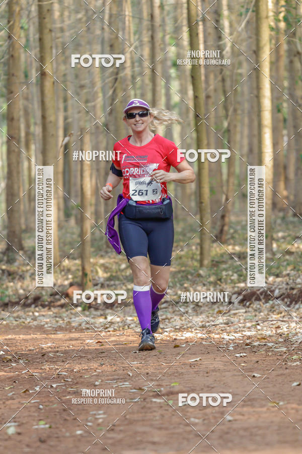 Buy your photos of the event1� Corrida Estrad�o de S�o Jos� das Palmeiras on Fotop