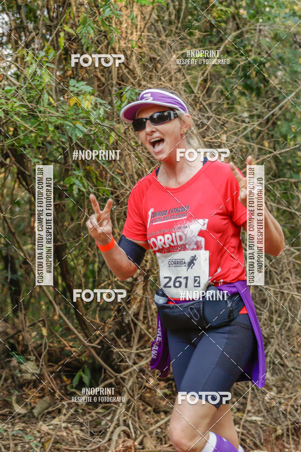 Buy your photos of the event1� Corrida Estrad�o de S�o Jos� das Palmeiras on Fotop