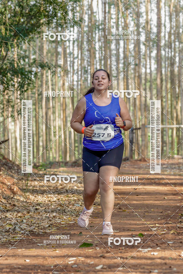 Buy your photos of the event1� Corrida Estrad�o de S�o Jos� das Palmeiras on Fotop
