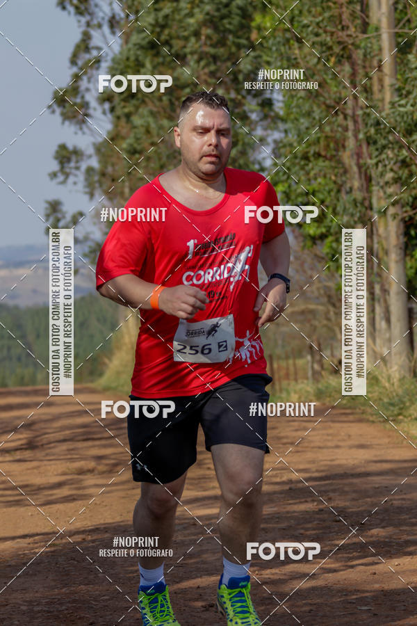 Buy your photos of the event1� Corrida Estrad�o de S�o Jos� das Palmeiras on Fotop