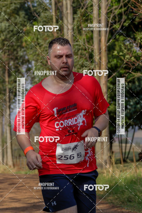 Buy your photos of the event1� Corrida Estrad�o de S�o Jos� das Palmeiras on Fotop