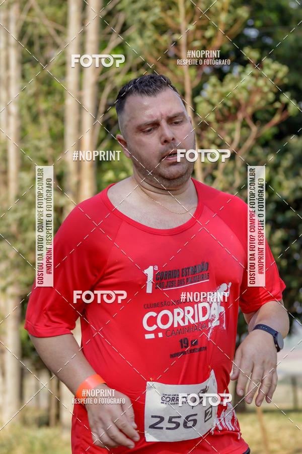 Buy your photos of the event1� Corrida Estrad�o de S�o Jos� das Palmeiras on Fotop