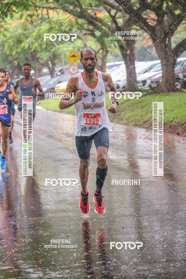 Buy your photos of the event11a  Corrida Usina So Martinho on Fotop