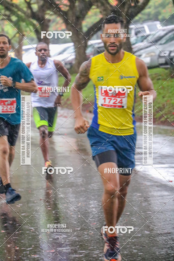 Buy your photos of the event11a  Corrida Usina So Martinho on Fotop