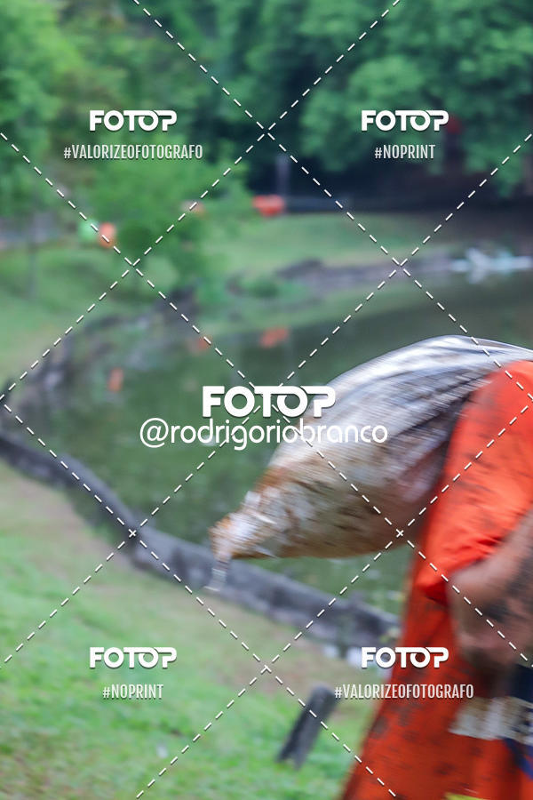 Buy your photos of the eventMorro das Pedras Race 2019 on Fotop