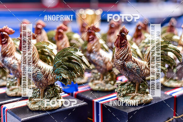 Buy your photos of the eventCasuar Fight (07/09/2019) on Fotop