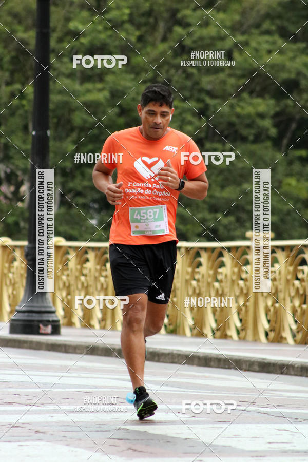 Buy your photos of the event2 Corrida Pela Doao de rgos on Fotop