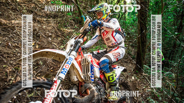 Buy your photos of the eventNight Track 2019 on Fotop