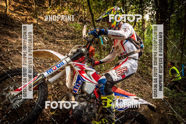 Buy your photos of the eventNight Track 2019 on Fotop